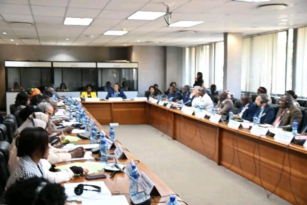 Pan-African Parliament – Spectators  In South Africa’s Raging Undocumented Immigrant Debate