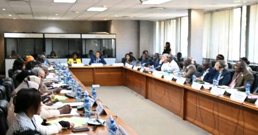 Pan-African Parliament – Spectators In South Africa’s Raging Undocumented Immigrant Debate