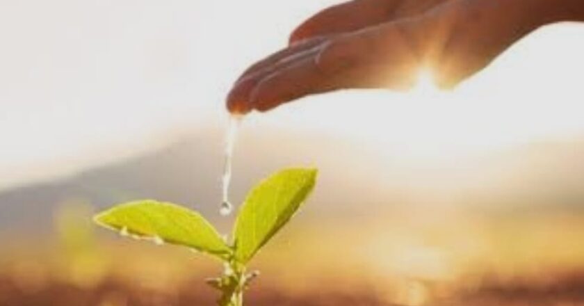 Word of the Week: Nurturing Those Who Will Serve