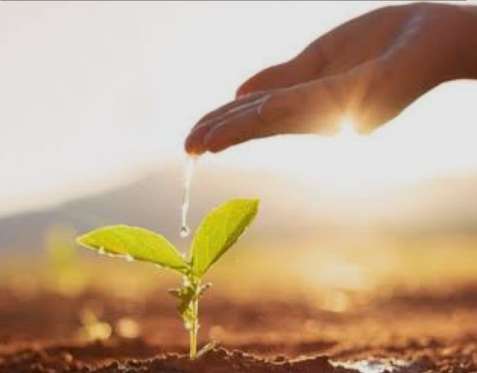 Word of the Week: Nurturing Those Who Will Serve
